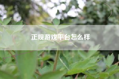 正规游戏平台怎么样