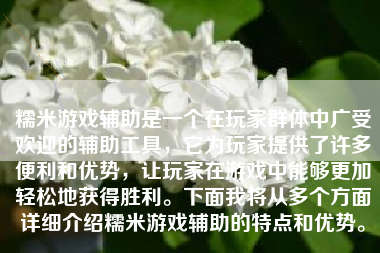 糯米游戏辅助是一个在玩家群体中广受欢迎的辅助工具，它为玩家提供了许多便利和优势，让玩家在游戏中能够更加轻松地获得胜利。下面我将从多个方面详细介绍糯米游戏辅助的特点和优势。