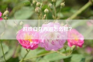 游戏自在西游怎么样？