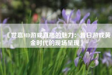 《世嘉MD游戏直播的魅力：昔日游戏黄金时代的现场呈现》