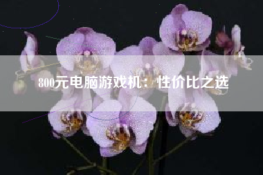 800元电脑游戏机：性价比之选