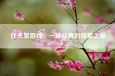 任天堂游戏：一场经典的探索之旅