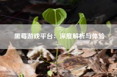 黑莓游戏平台：深度解析与体验