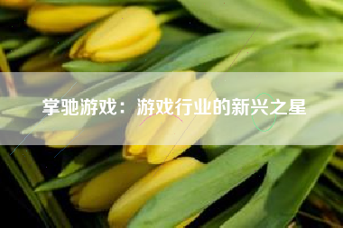 掌驰游戏：游戏行业的新兴之星