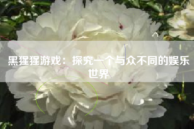 黑猩猩游戏：探究一个与众不同的娱乐世界