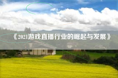 《2021游戏直播行业的崛起与发展》