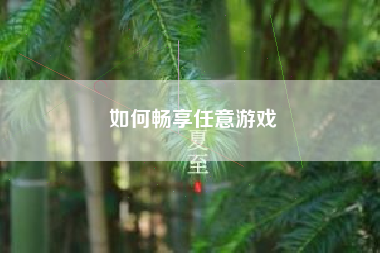 如何畅享任意游戏