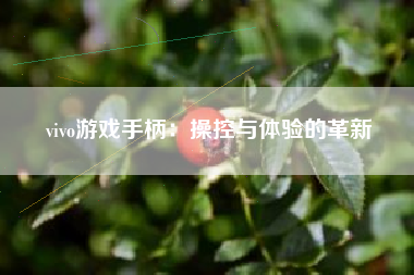 vivo游戏手柄：操控与体验的革新