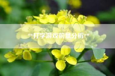 **打字游戏前景分析**