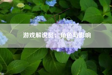 游戏解说员：角色与影响