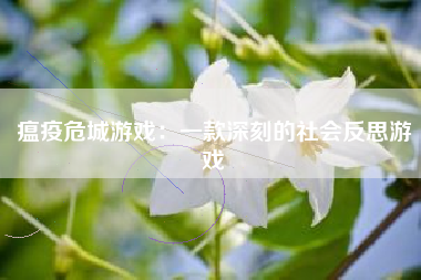 瘟疫危城游戏：一款深刻的社会反思游戏