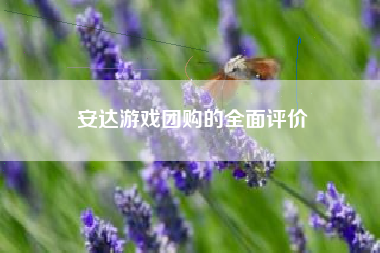 安达游戏团购的全面评价