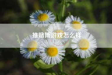 推赌博游戏怎么样