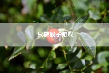 只做骰子游戏