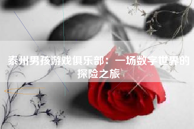 泰州男孩游戏俱乐部：一场数字世界的探险之旅
