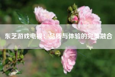 东芝游戏电视：品质与体验的完美融合