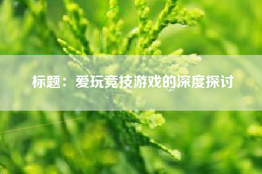 标题：爱玩竞技游戏的深度探讨