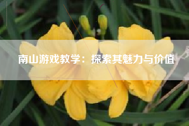 南山游戏教学：探索其魅力与价值