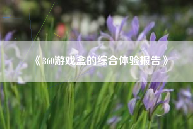 《360游戏盒的综合体验报告》