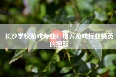 长沙学校游戏专业：培养游戏行业精英的摇篮