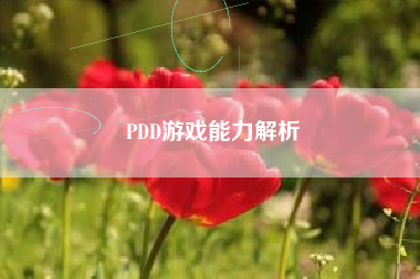 PDD游戏能力解析