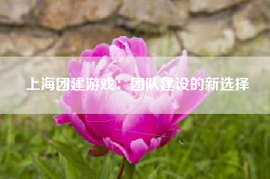 上海团建游戏：团队建设的新选择