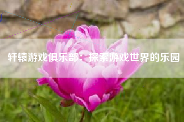 轩辕游戏俱乐部：探索游戏世界的乐园