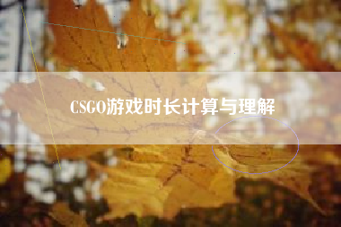 CSGO游戏时长计算与理解