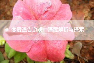 恋爱通告游戏：深度解析与探索