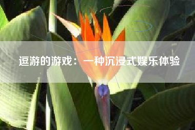 逗游的游戏：一种沉浸式娱乐体验