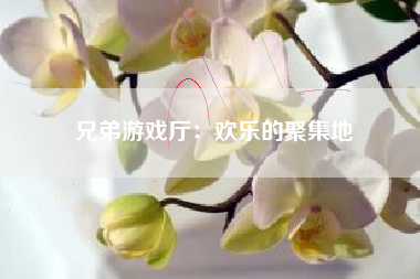 兄弟游戏厅：欢乐的聚集地
