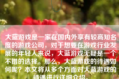 大蓝游戏是一家在国内外享有较高知名度的游戏公司，对于想要在游戏行业发展的年轻人来说，大蓝游戏无疑是一个不错的选择。那么，大蓝游戏的待遇如何呢？本文将从多个方面对大蓝游戏的待遇进行详细介绍。