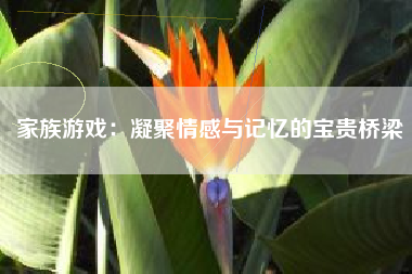 家族游戏：凝聚情感与记忆的宝贵桥梁