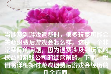 当涉及到游戏退费时，很多玩家可能会关心退费后游戏会怎么样。这是一个非常实际的问题，因为退费涉及到玩家的权益和游戏公司的经营策略。下面，我们将详细探讨游戏退费后游戏会经历的几个方面。