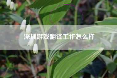 深圳游戏翻译工作怎么样