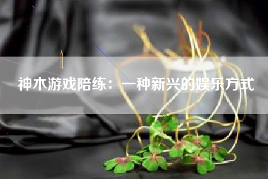 神木游戏陪练：一种新兴的娱乐方式