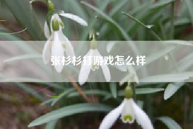 张杉杉打游戏怎么样