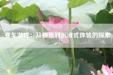 赛车游戏：从画质到沉浸式体验的探索