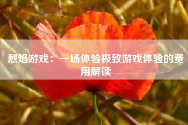 烈焰游戏：一场体验极致游戏体验的费用解读
