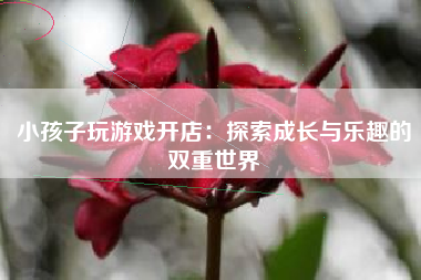 小孩子玩游戏开店：探索成长与乐趣的双重世界