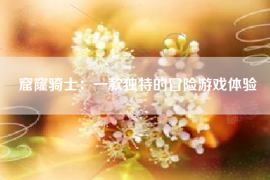 窟窿骑士：一款独特的冒险游戏体验
