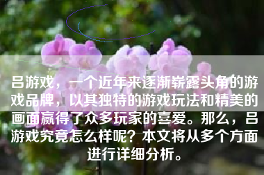 吕游戏，一个近年来逐渐崭露头角的游戏品牌，以其独特的游戏玩法和精美的画面赢得了众多玩家的喜爱。那么，吕游戏究竟怎么样呢？本文将从多个方面进行详细分析。