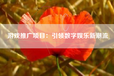 游戏推广项目：引领数字娱乐新潮流