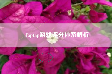 Taptap游戏评分体系解析