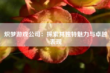 炽梦游戏公司：探索其独特魅力与卓越表现