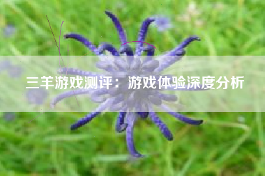 三羊游戏测评：游戏体验深度分析