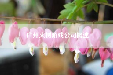 广州火树游戏公司概述