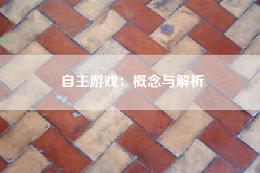 自主游戏：概念与解析