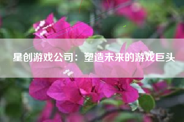 星创游戏公司：塑造未来的游戏巨头