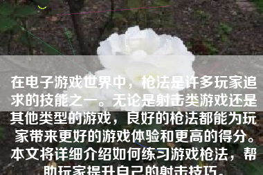 在电子游戏世界中，枪法是许多玩家追求的技能之一。无论是射击类游戏还是其他类型的游戏，良好的枪法都能为玩家带来更好的游戏体验和更高的得分。本文将详细介绍如何练习游戏枪法，帮助玩家提升自己的射击技巧。